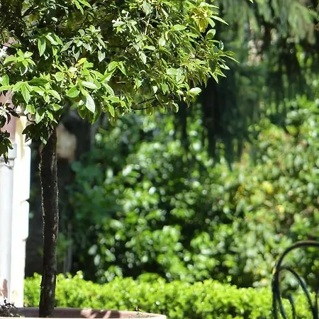 Villino Di Porporano