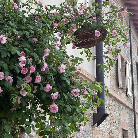 Villino Di Porporano 4*