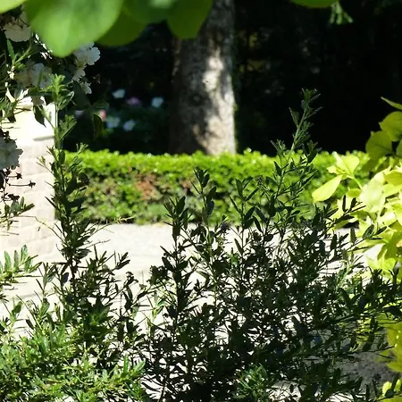 Villino Di Porporano Bed & Breakfast 4*